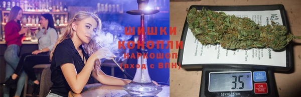 сатива Белоозёрский