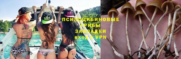 таблы Богородицк