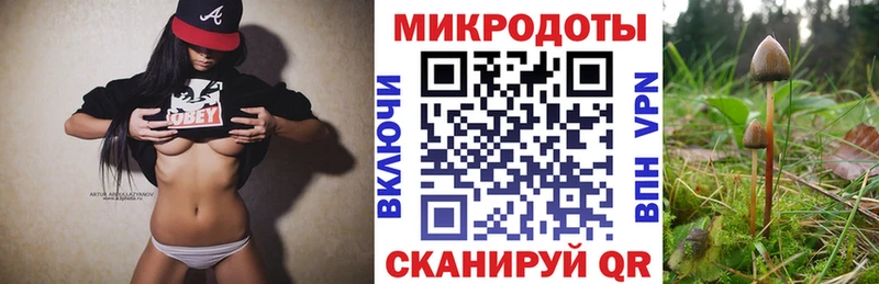 Купить закладки  Нижний Ломов  Галлюциногенные грибы мицелий 